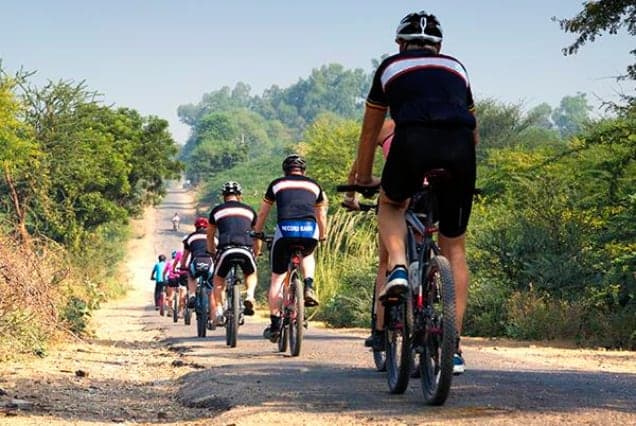 A group of cyclists riding away along a tree-lined country track