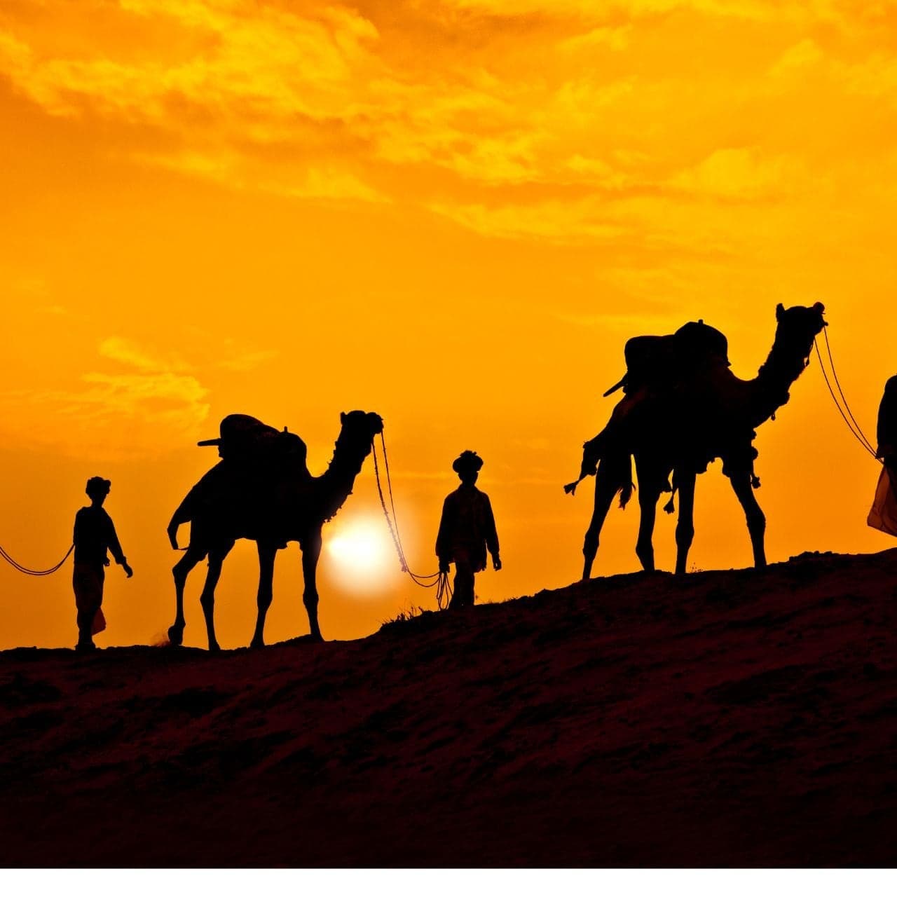 Silhouettes of camels and their handlers on a dune against an orange desert sunset