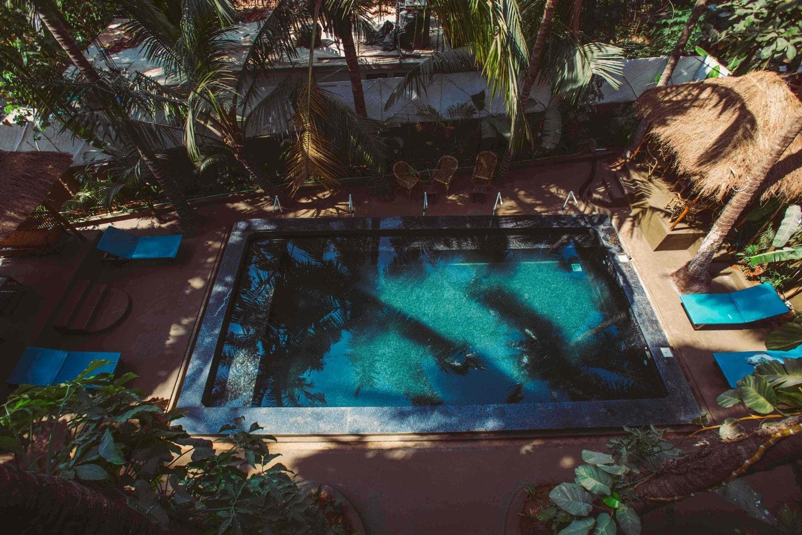 A swimming pool seen from above, surrounded by palms and sun loungers