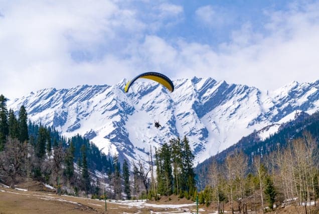A paraglider flying above pine forest in front of snow-covered Himalayan peaks