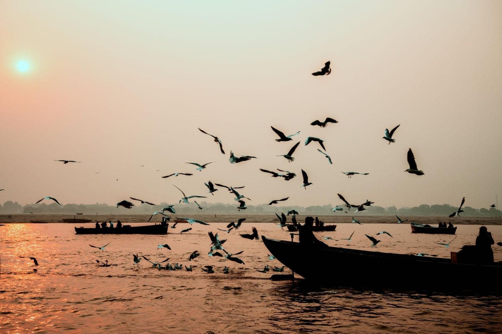 A rowing boat on the Ganges at dawn, surrounded by flying gulls